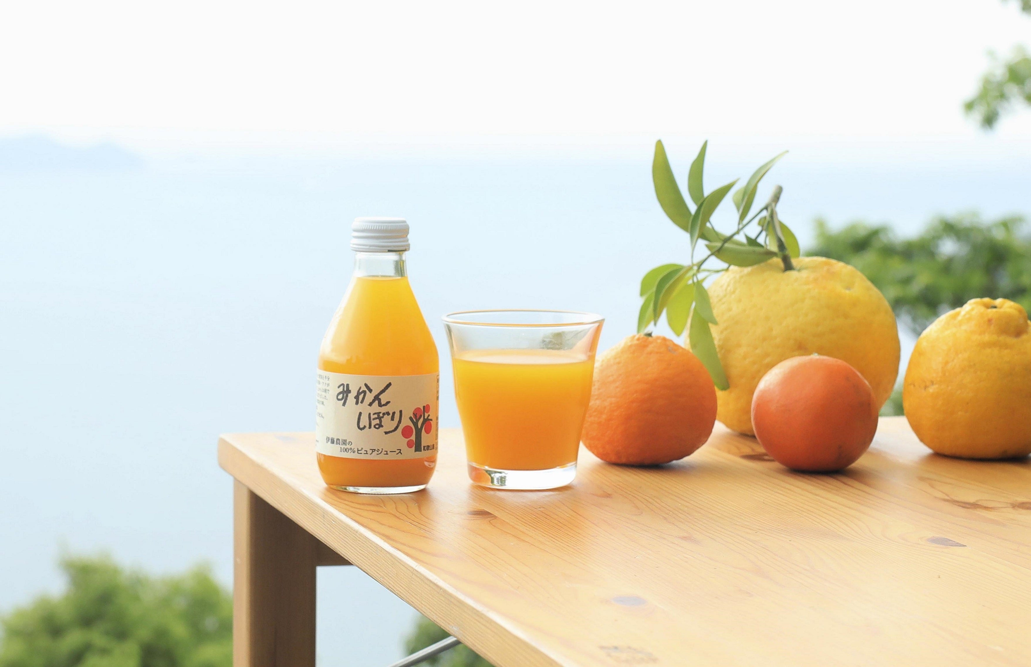 伊藤農園 100%ピュアジュース 180ml セット【離島配送不可】