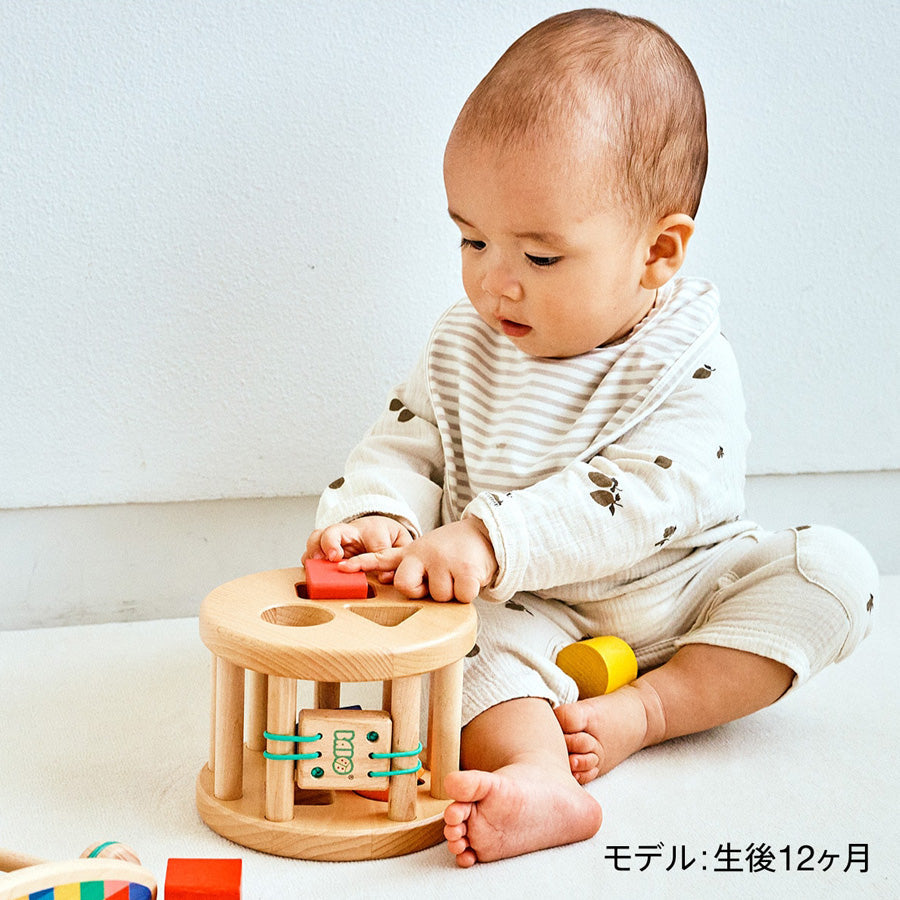 ボーネルンド カラフルプルトーイ BAJ37840【離島配送不可】