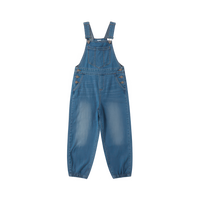 セットアップ<br>オールインワン