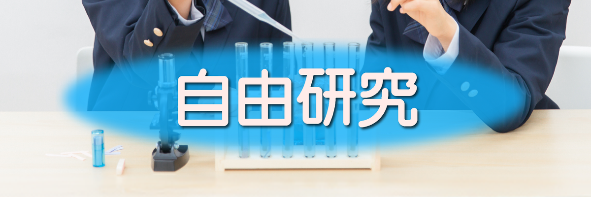 自由研究